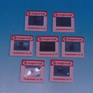 Projection Slides Set, Zoology